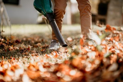 Man blowing leaves with leaf blower
