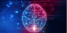 We hear with our brains
